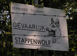 Stappenwolf.jpg